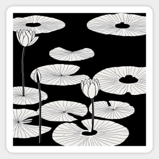 Water lilies black and white Sticker